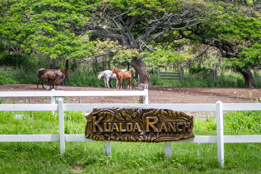Khu b%E1%BA%A3o t%E1%BB%93n thi%C3%AAn nhi%C3%AAn v%C3%A0 n%C3%B4ng tr%E1%BA%A1i Kualoa Ranch