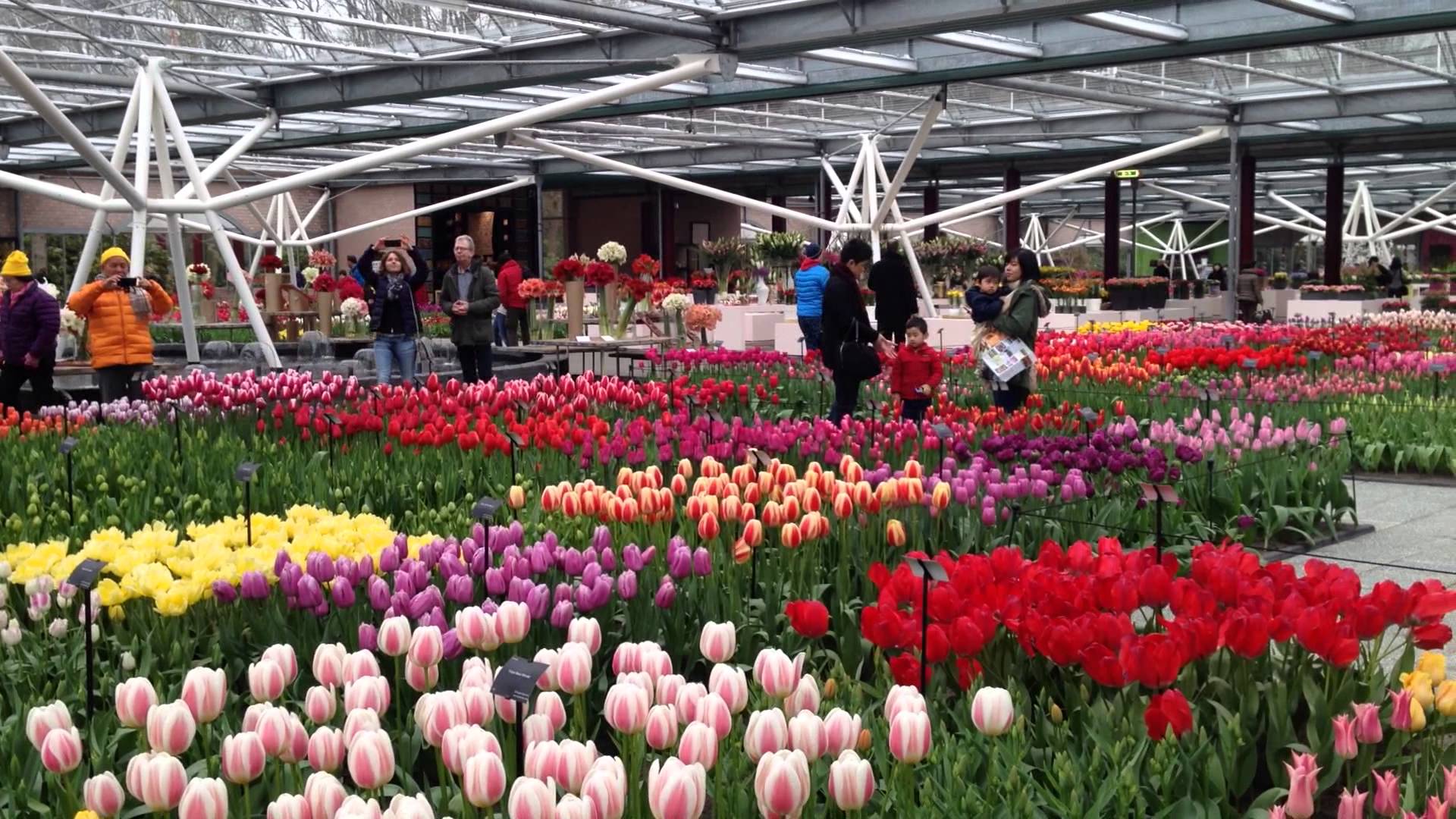 L%E1%BB%85 h%E1%BB%99i hoa Keukenhof