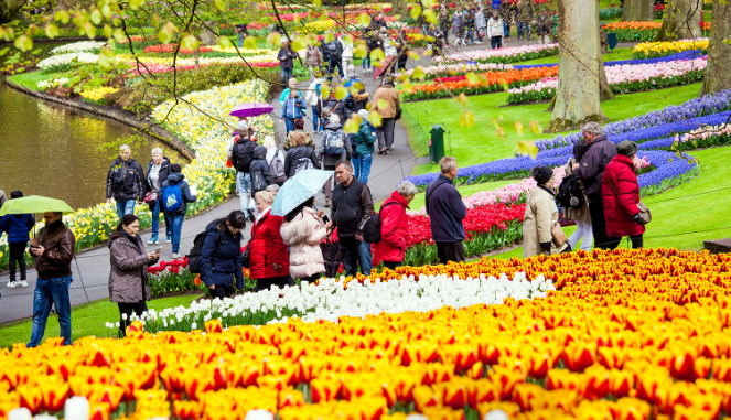 L%E1%BB%85 h%E1%BB%99i hoa Keukenhof
