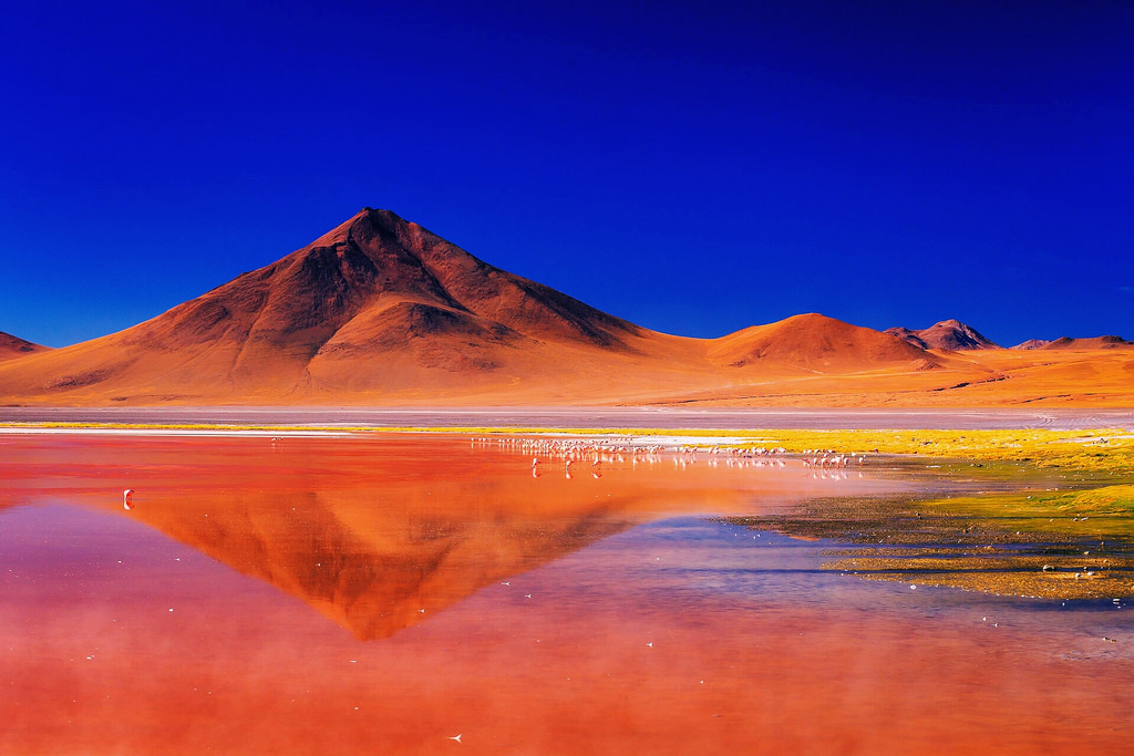 Laguna Colorada %C4%91%E1%BA%A7m ph%C3%A1 %C4%91%E1%BB%8F