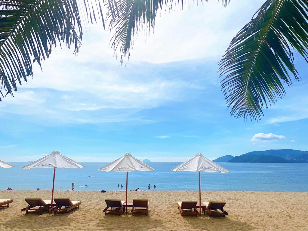 Potique-hotel-nha-trang9
