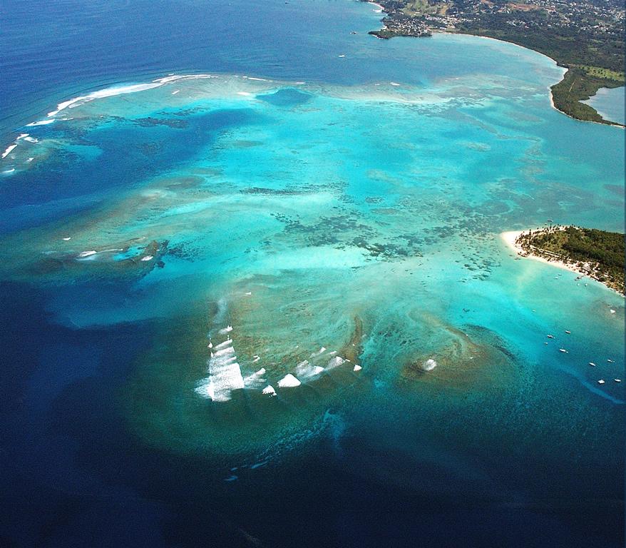 R%E1%BA%A1n san h%C3%B4 Buccoo Buccoo Reef