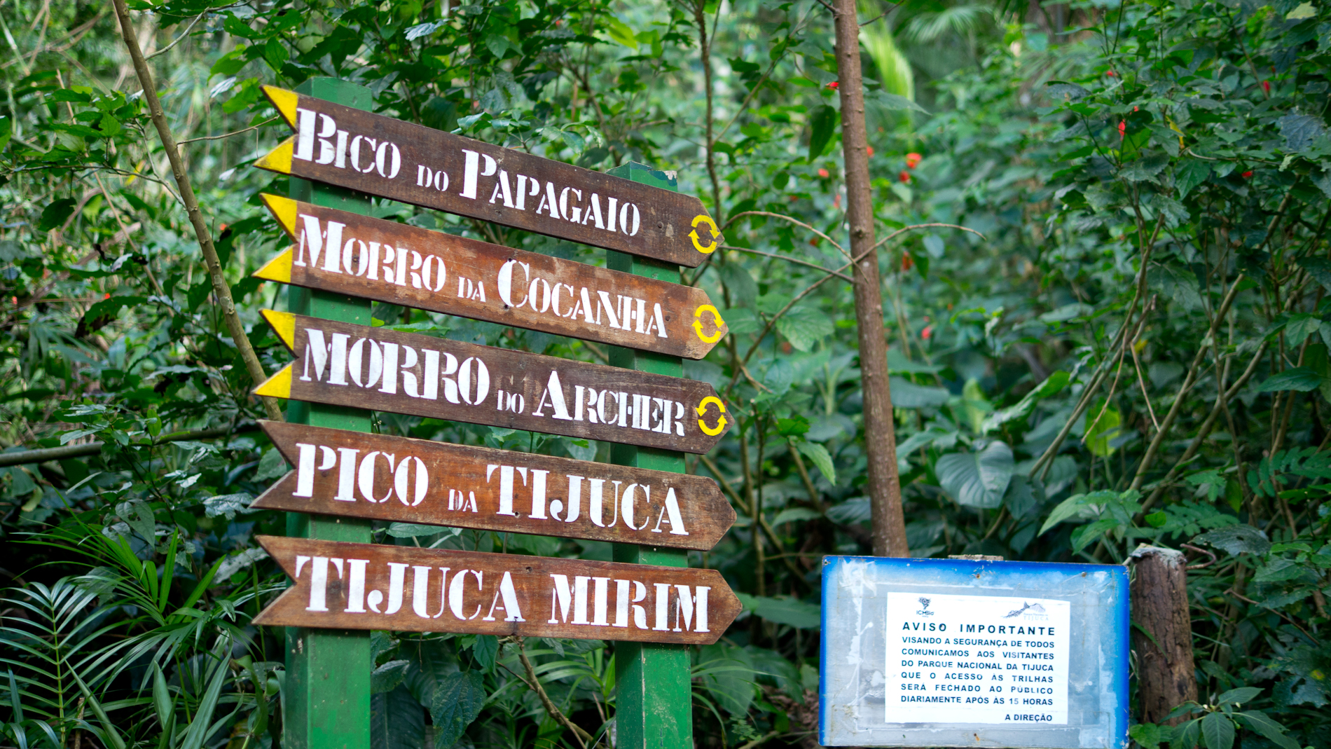 R%E1%BB%ABng nhi%E1%BB%87t %C4%91%E1%BB%9Bi Tijuca