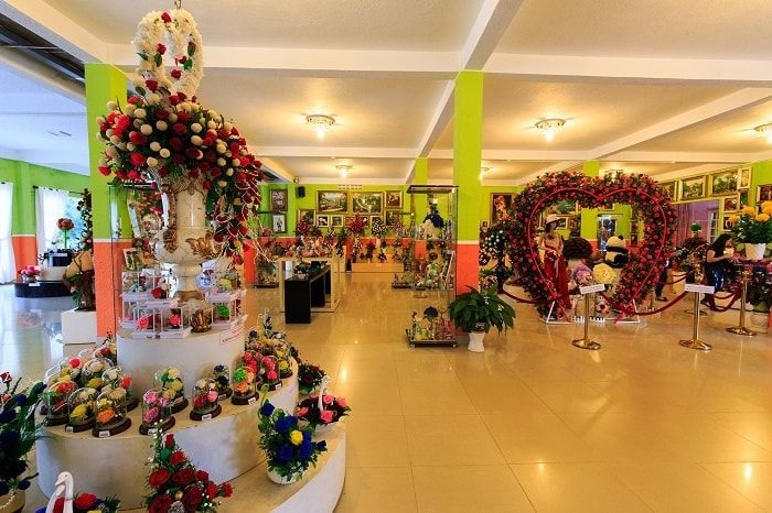 showroom-hoa-kho-da-lat