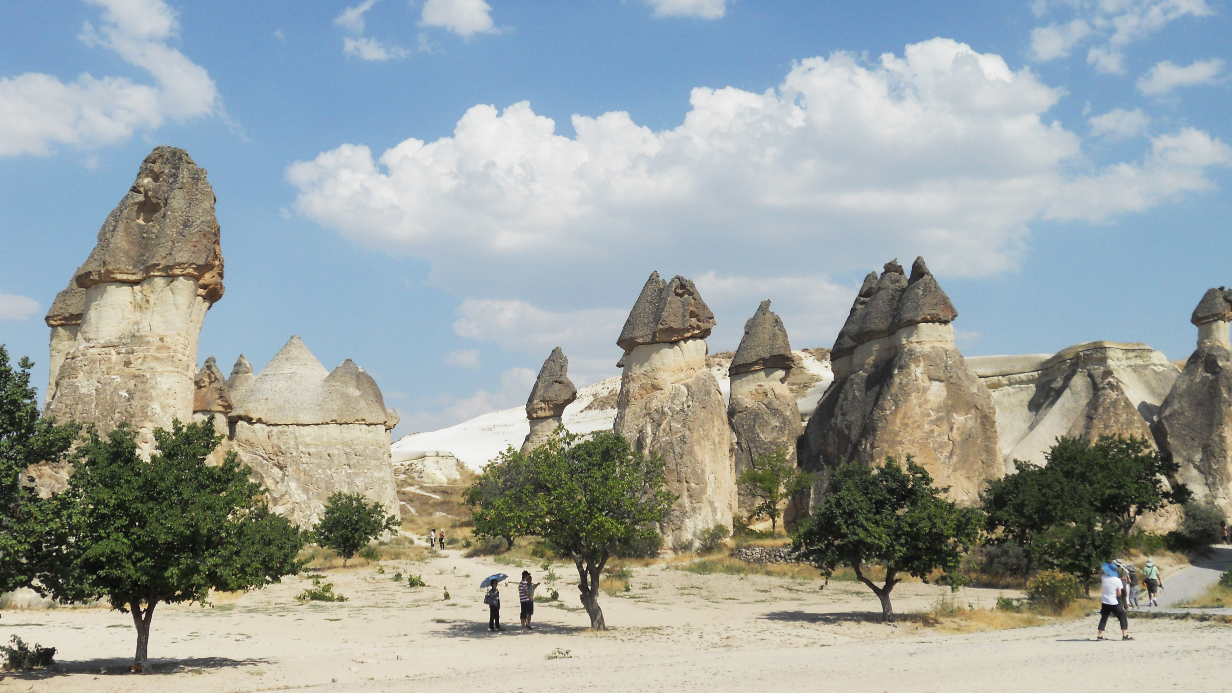 Thung L%C5%A9ng N%E1%BA%A5m %E2%80%93 the %E2%80%9CMushroom valleys%E2%80%9D