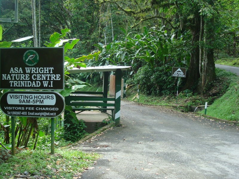 Trung t%C3%A2m t%E1%BB%B1 nhi%C3%AAn Asa Wright