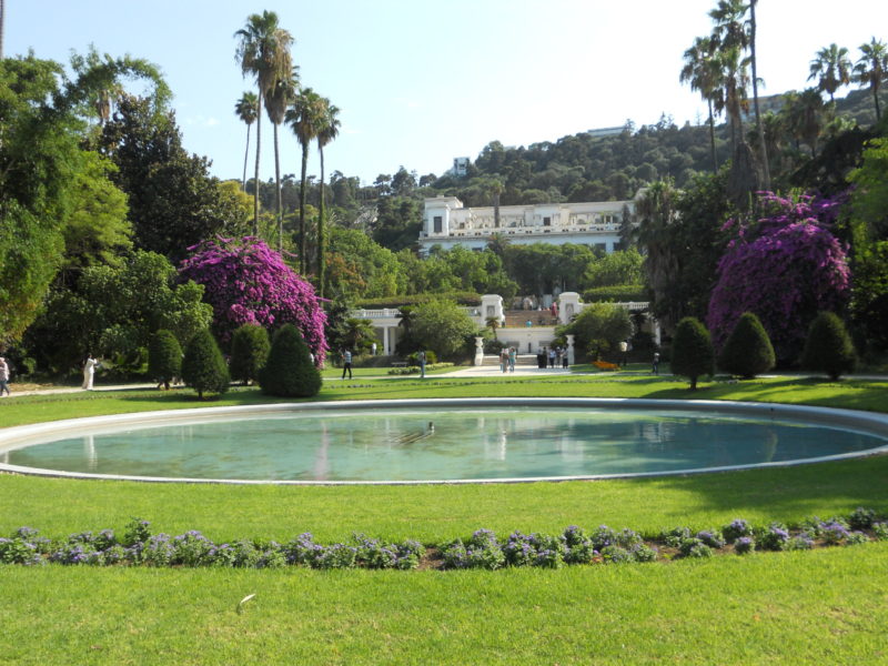 V%C6%B0%E1%BB%9Dn Th%C6%B0%E1%BB%A3ng Uy%E1%BB%83n Hamma Jardin d%E2%80%99Essai du Hamma