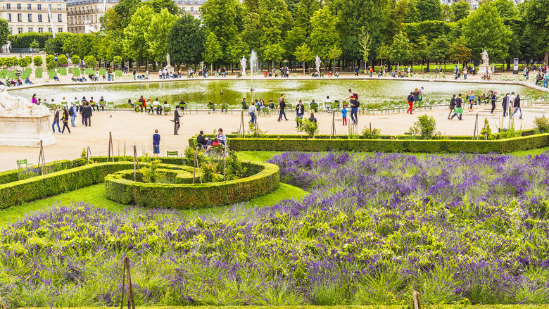 V%C6%B0%E1%BB%9Dn Tuileries