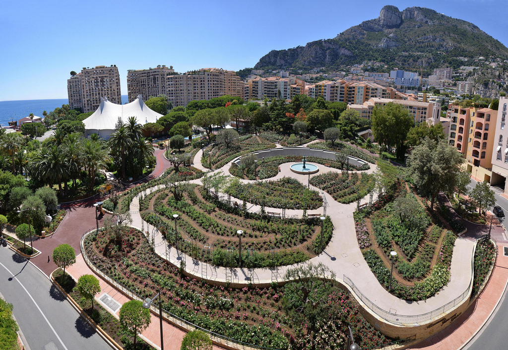 V%C6%B0%E1%BB%9Dn hoa h%E1%BB%93ng c%E1%BB%A7a c%C3%B4ng n%C6%B0%C6%A1ng Grace