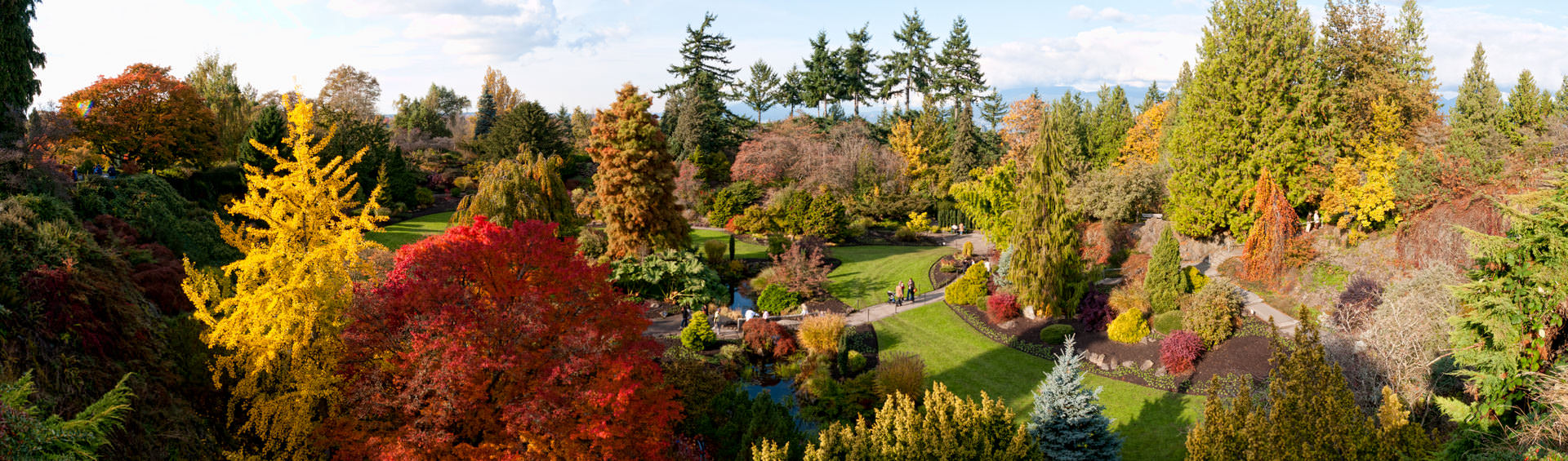 V%C6%B0%E1%BB%9Dn hoa th%C3%A0nh ph%E1%BB%91 %E2%80%93 Queen Elizabeth Park