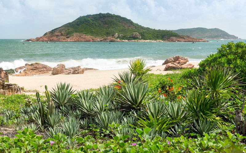 top-khach-san-resort-o-quy-nhon-moi-khai-truong-16
