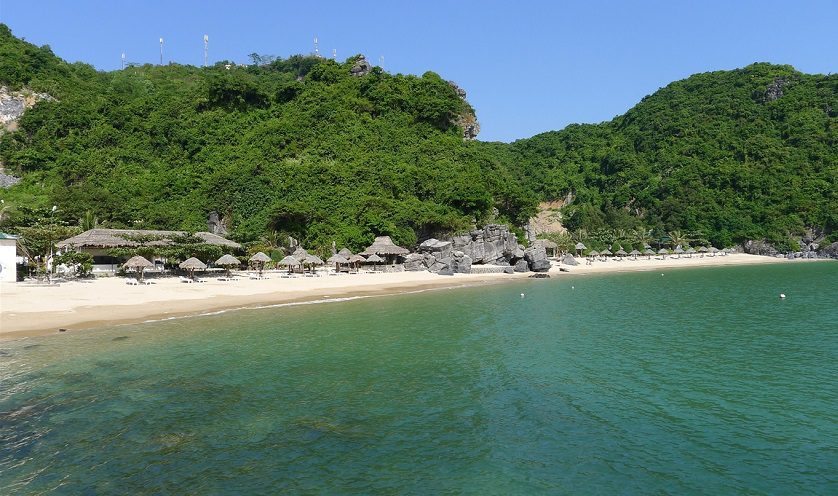 bai tam cat co 2 5feae6a001a71