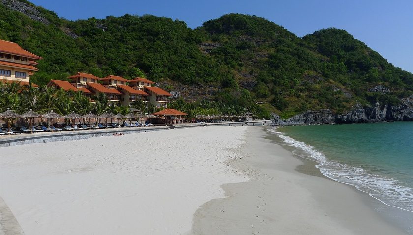 bai tam cat co 3 5feaf7e27ff7a