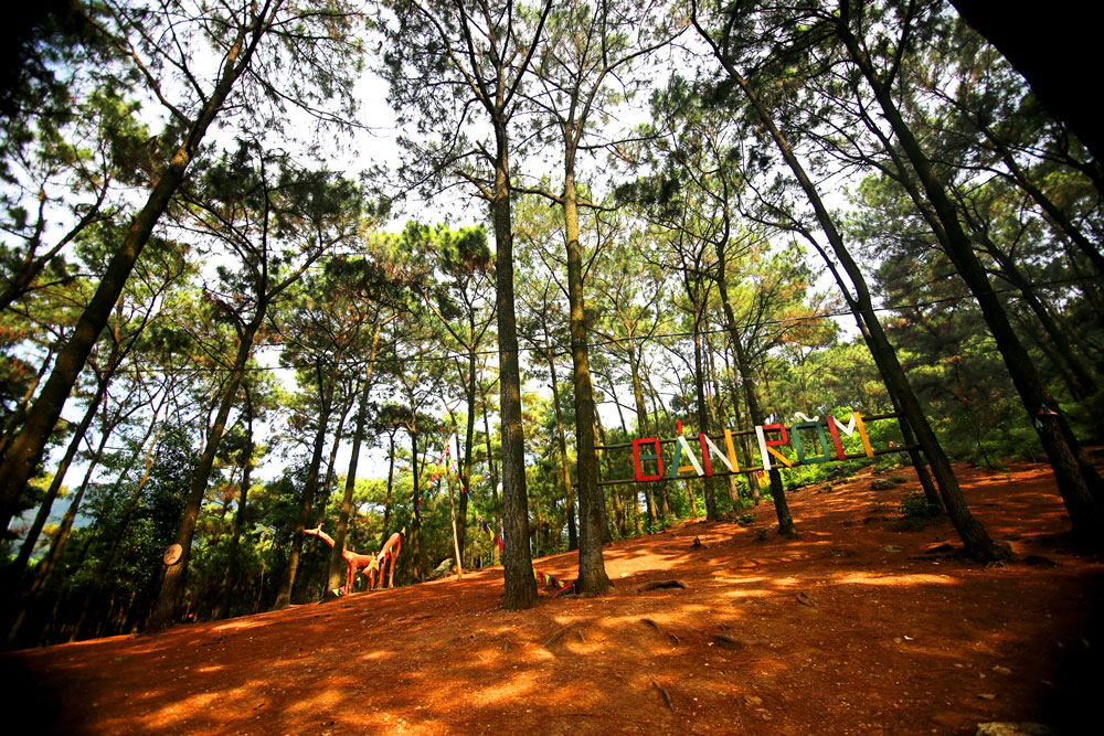 review-lavender-club-house-homestay-yen-binh-nhat-soc-son-6