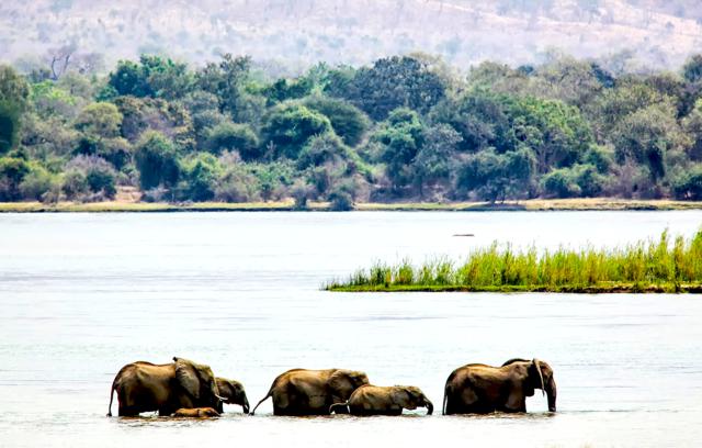 bayvoitrenhoMana.jpg 4