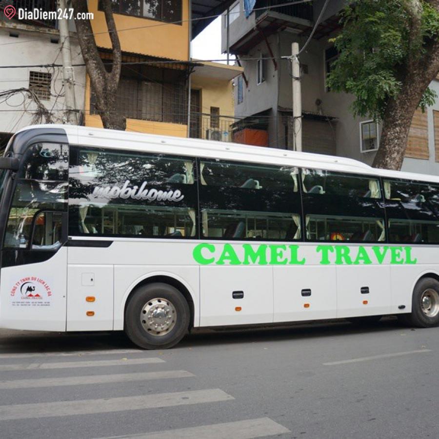nha-xe-camel-travel-chuyen-tuyen-ha-noi-di-du-lich-da-nang-hoi-an-hue-quang-binh