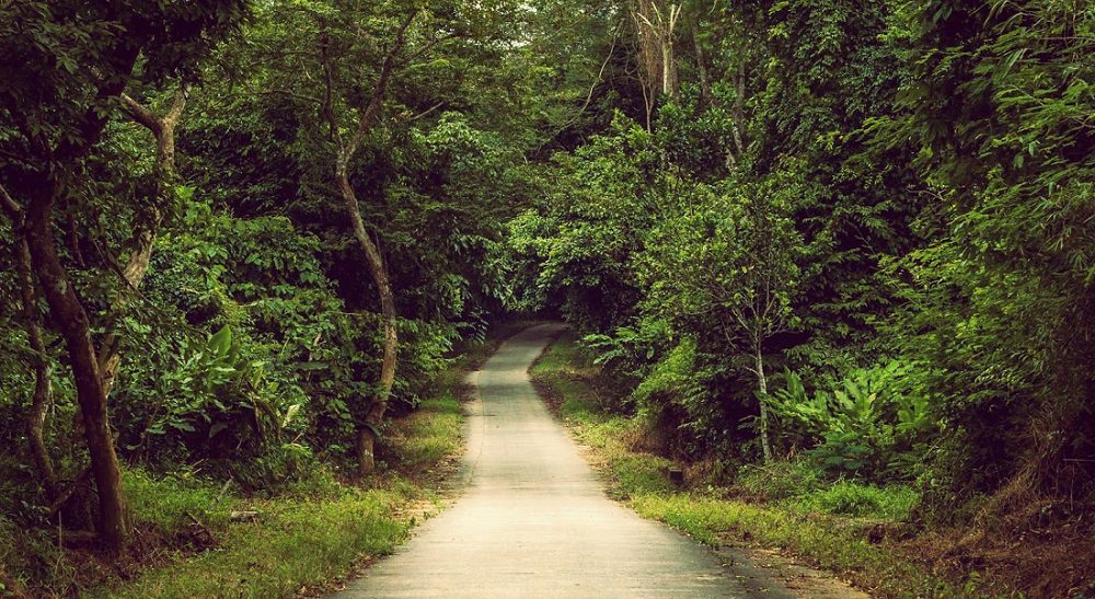 cuc phuong national park ninh binh