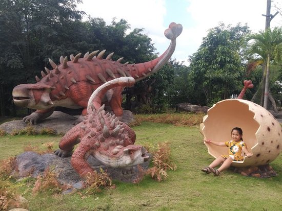 cvsk-than-tai-da-nang