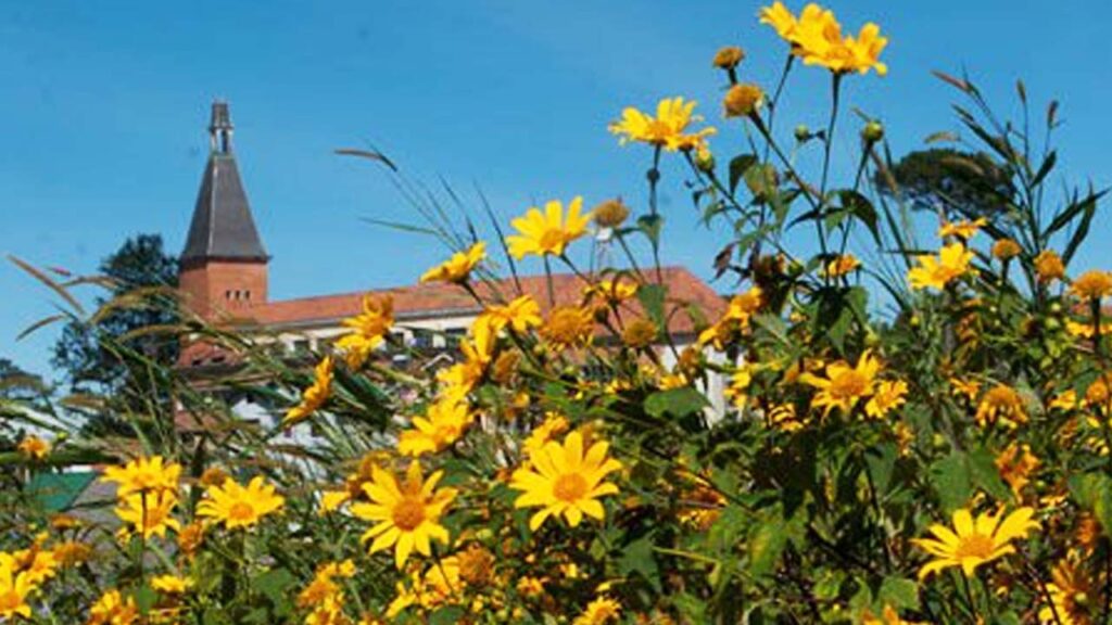 du-lich-da-lat-ngam-hoa-da-quy