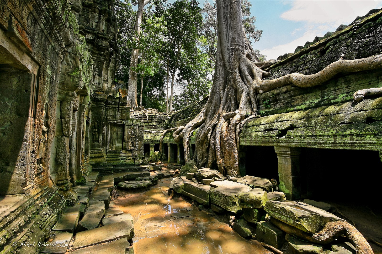 den ta prohm 5459f6c578e65