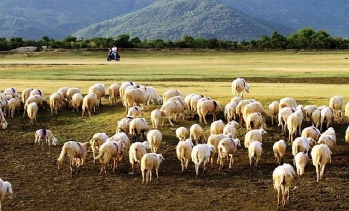 diadiemanuong com trai nghiem moi voi vuon rau nong trai cuu long hai8a007a92635823382443413407