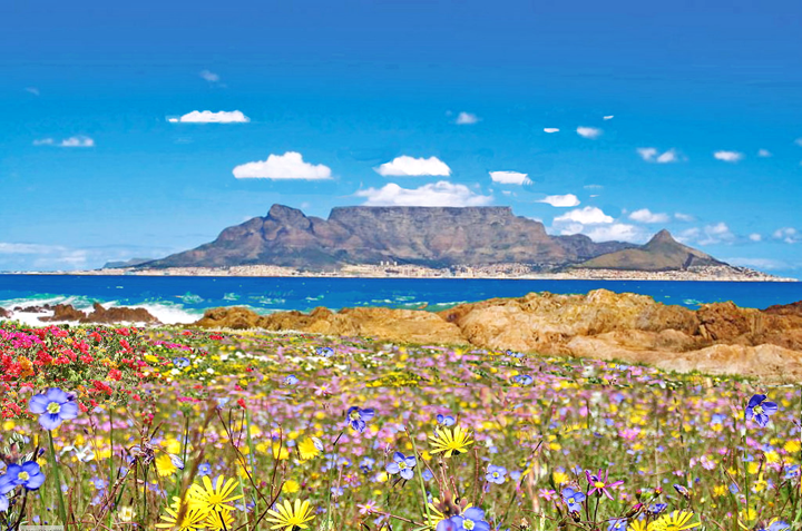 diem du lich nam phi nui da ban table moutain du lich viet