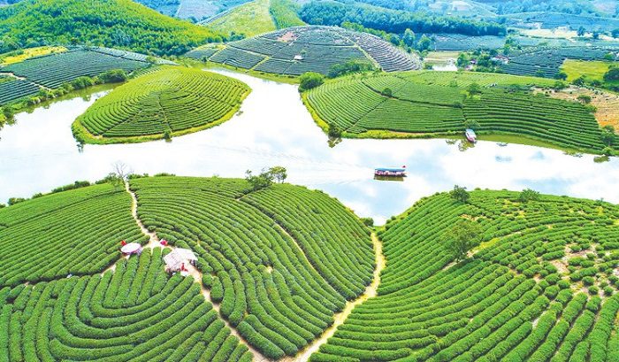 doi che thanh chuong 1 1624679436