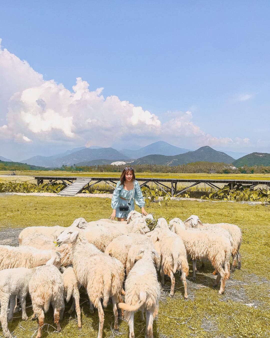 kinh-nghiem-du-lich-ninh-thuan-nen-di-dau-dia-diem-dep-7