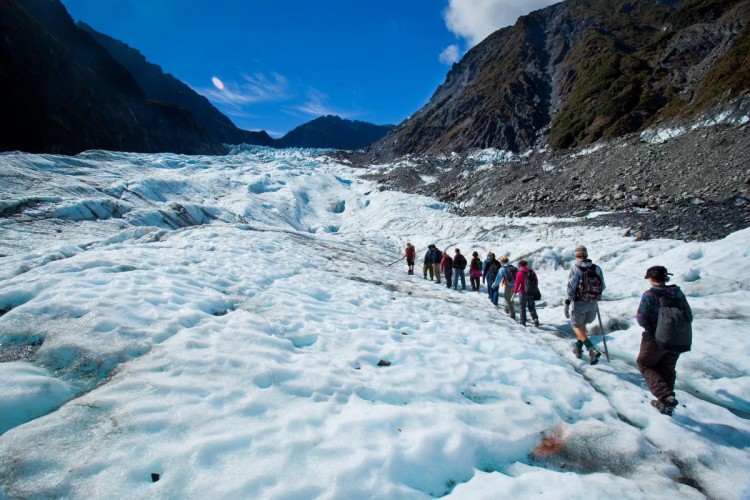 fox glacier hike new zealand 750 500