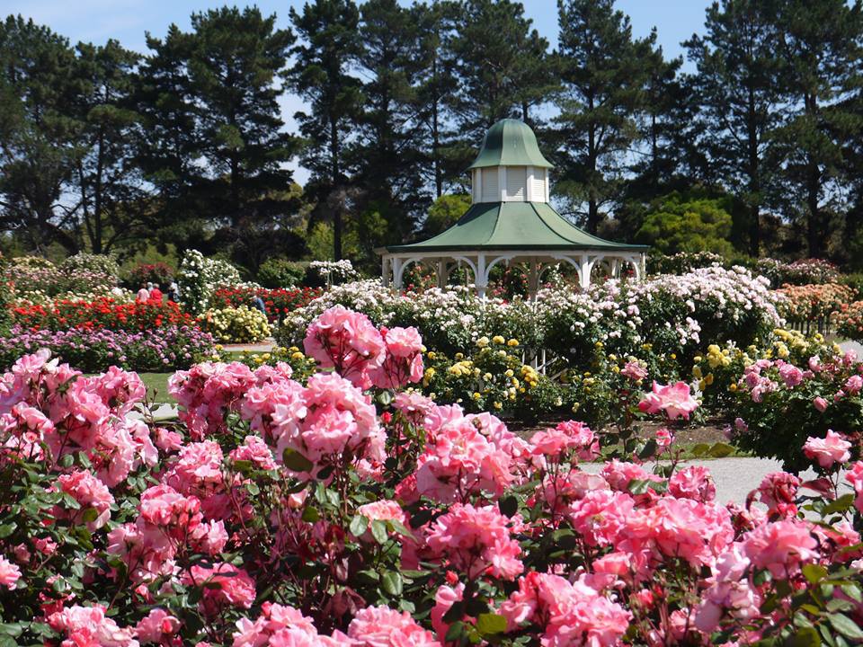 hinh anh TOUR DU L%E1%BB%8ACH %C3%9AC 2018 SYDNEY %E2%80%93 CANBERRA MELBOURNE 7 NG%C3%80Y BAY H%C3%80NG KH%C3%94NG VIETNAM AIRLINES 3