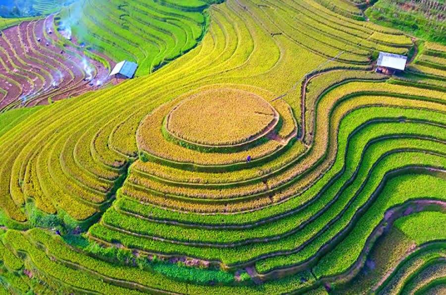 images3076025 mam1 1630601850237719992529