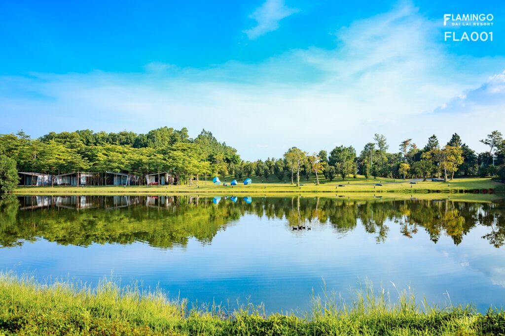 Combo-2N1Đ-Flamingo-Đại-Lải-1