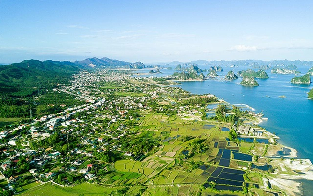 kcn_Bac-cai-bau-quang-ninh
