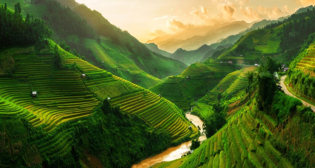 sapa
