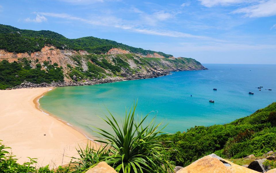 nha-xe-hoa-nho-limousine-sai-gon-di-phu-yen-tuy-hoa-5