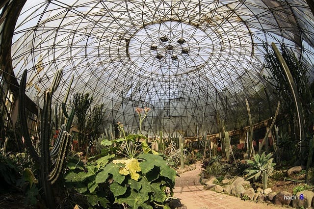 nha kinh xuong rong ba vi