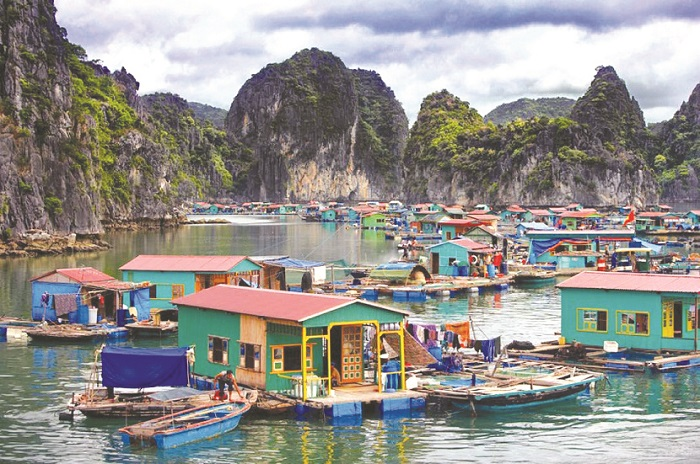 kinh-nghiem-du-lich-cat-ba-dia-diem-khach-san-resort-combo-tour-6