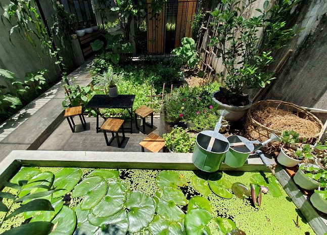 Homestay-Xanh-1