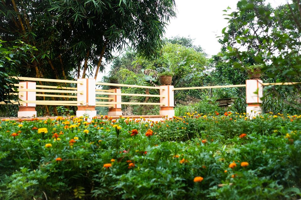 an-binh-villa-ba-vi-ha-noi