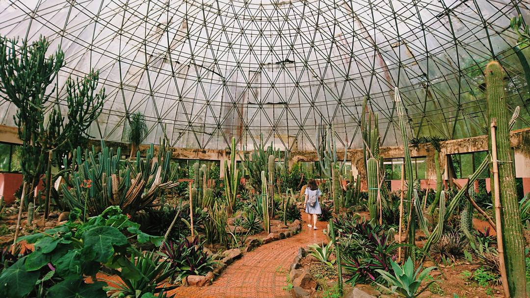 tour-du-lich-ba-vi-2n1d-2