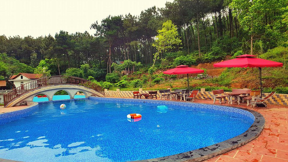 rung-thong-xanh-villa-soc-son