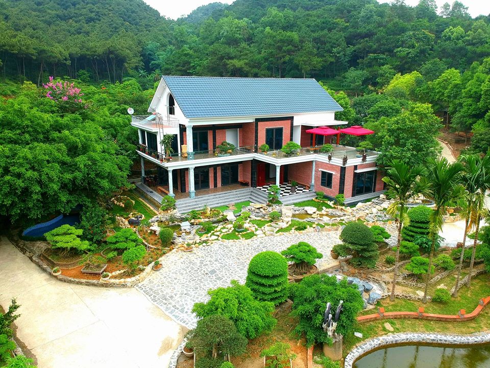 rung-thong-xanh-villa-soc-son