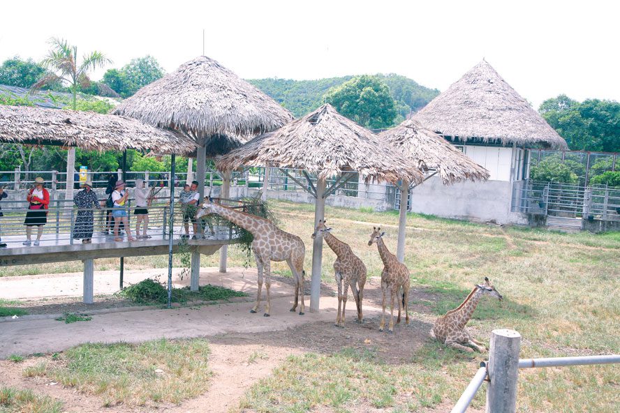 sinh thai muong thanh