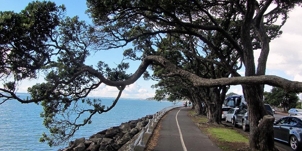tamaki waterfront drive du lich new zealand