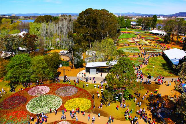 tfd 170418024236 010233