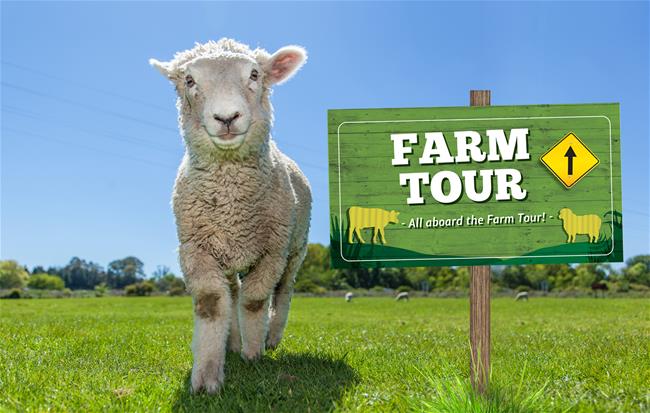 tfd 170809012248 694533