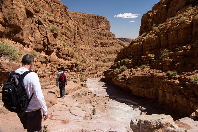 tfd 20160122 H%E1%BA%BBm n%C3%BAi Todra