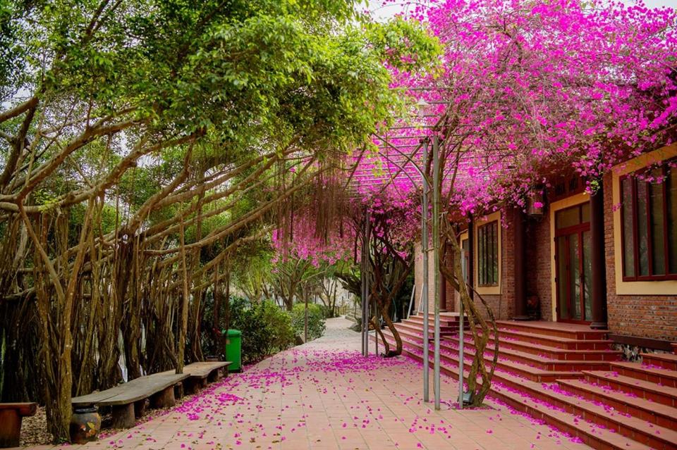 thao-vien-resort-son-tay