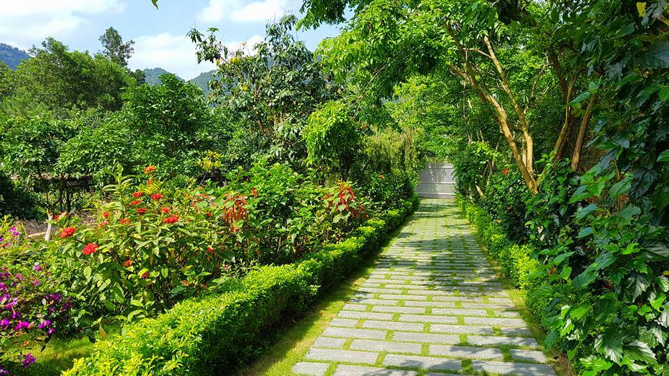 luxury-villa-soc-son