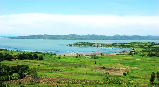 review-kinh-nghiẹm-di-du-lich-phu-yen-dia-diem-khach-san-resort-dep-5